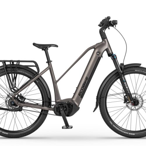 Rower elektryczny ECOBIKE DARE srebrny M