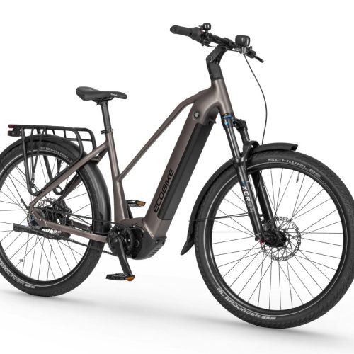 Rower elektryczny ECOBIKE DARE srebrny M
