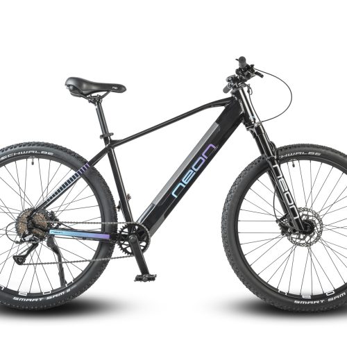 Rower elektryczny NEON BEAM 1.0 M/L czarny