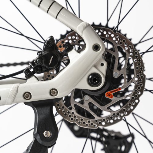 Rower E-BIKE NEON PULSE 1.0 M/L szary