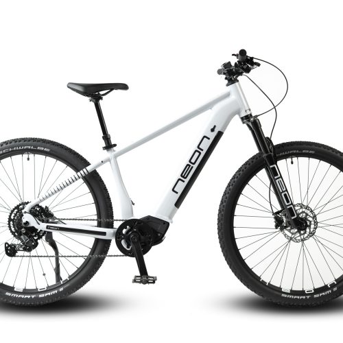 Rower E-BIKE NEON PULSE 1.0 M/L szary