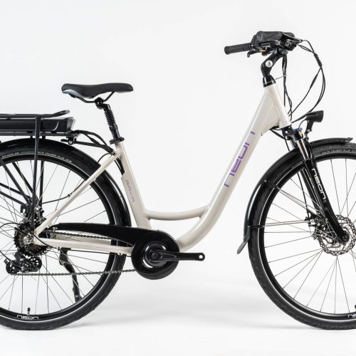 Rower elektryczny NEON RAYA szary