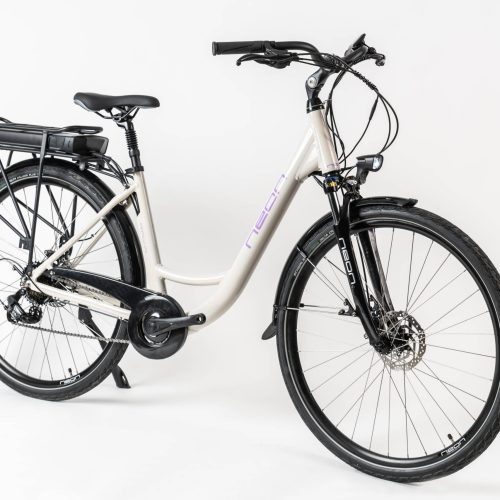 Rower elektryczny NEON RAYA szary